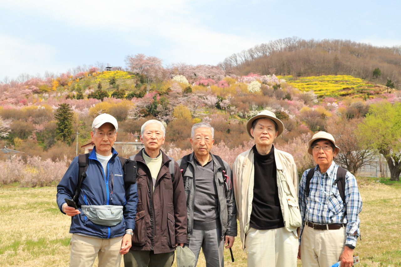 花見山 集合①