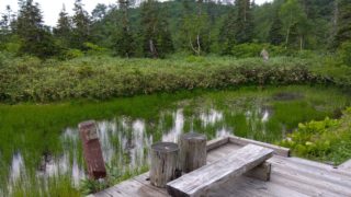 栂池高原の旅2025年8月4日～5日